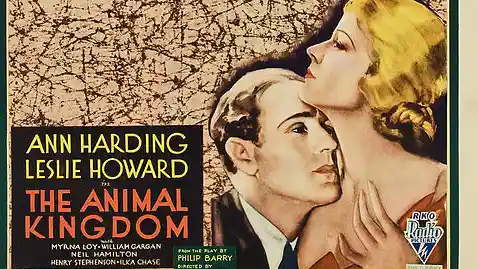 The Animal Kingdom